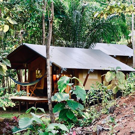 El Pulpo Safari Lodge Ojochal Exteriér fotografie