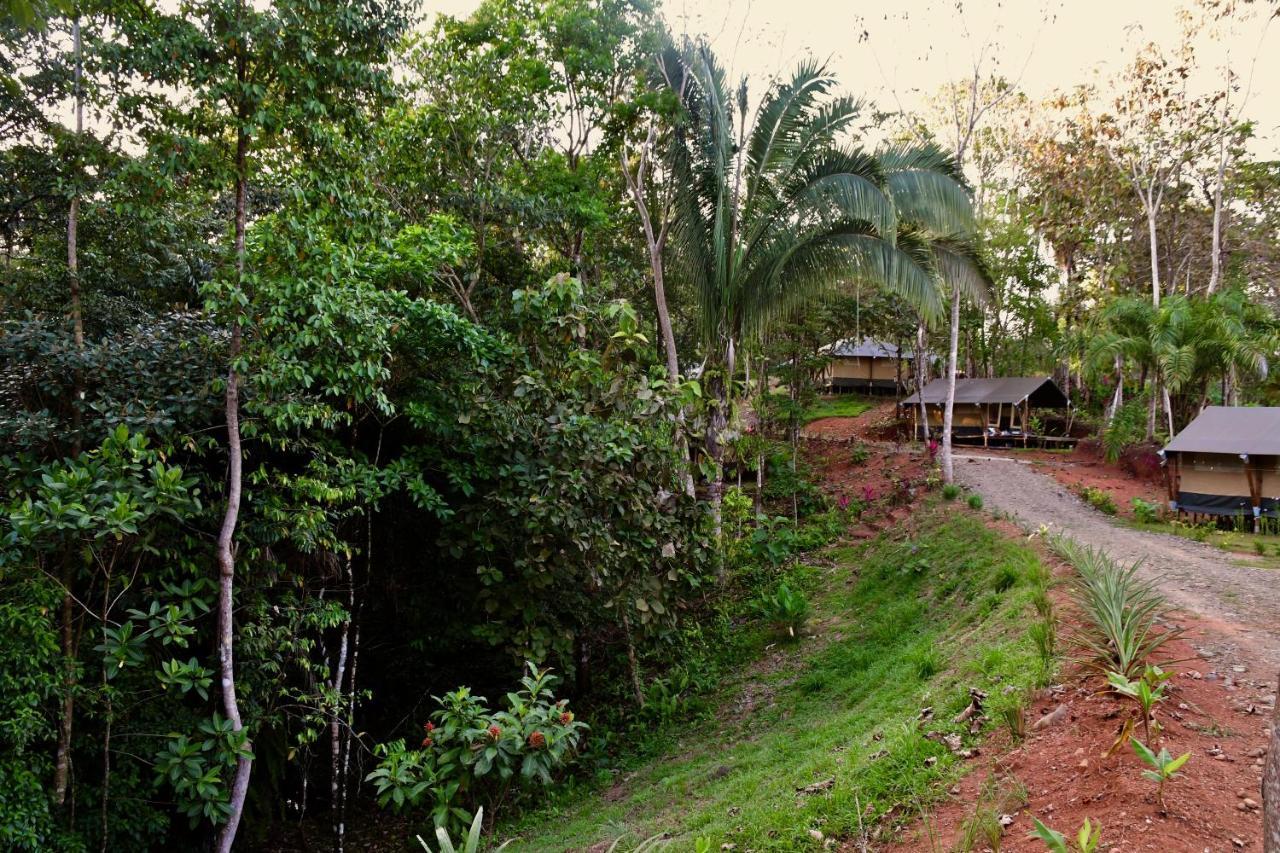 El Pulpo Safari Lodge Ojochal Exteriér fotografie