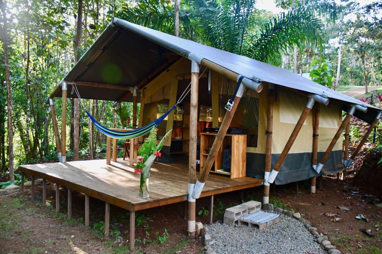 El Pulpo Safari Lodge Ojochal Exteriér fotografie