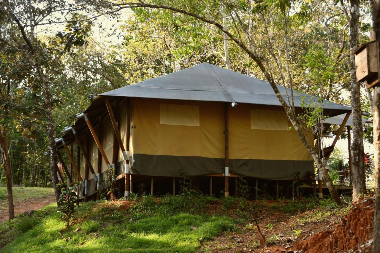 El Pulpo Safari Lodge Ojochal Exteriér fotografie