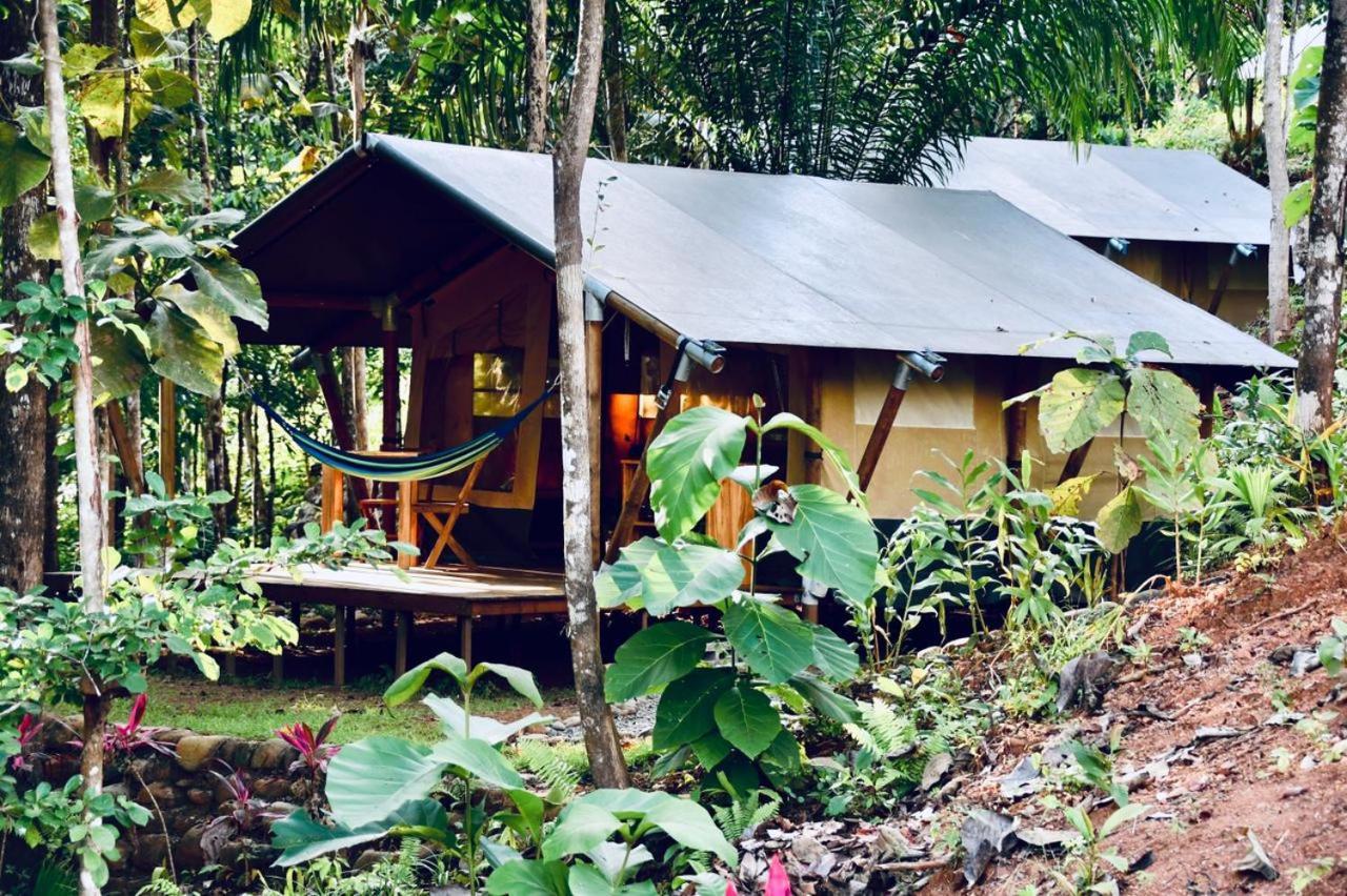 El Pulpo Safari Lodge Ojochal Exteriér fotografie